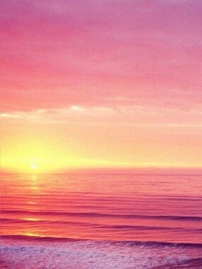 Sunset Orange and Pink Bundle